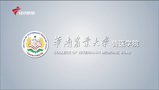 华南农业大学兽医欧博在线登录2021年宣传视频